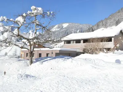 Ferienwohnung für 6 Personen (70 m²) in Schoppernau 3/10