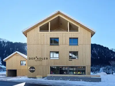 Ferienwohnung für 3 Personen (43 m²) in Schoppernau 2/10