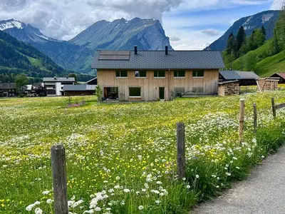 Ferienwohnung für 4 Personen (60 m²) in Schoppernau 2/10