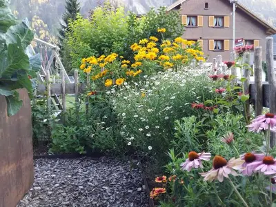 Ferienwohnung für 5 Personen (70 m²) in Schoppernau 10/10