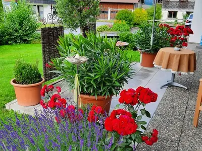 Ferienwohnung für 2 Personen (45 m²) in Schoppernau 3/10