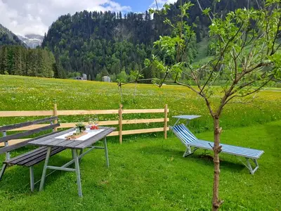 Ferienwohnung für 4 Personen (45 m²) in Schoppernau 4/10