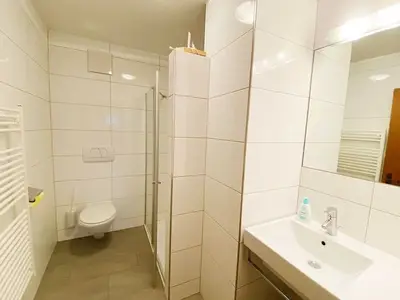 Ferienwohnung für 4 Personen (55 m²) in Schoppernau 10/10