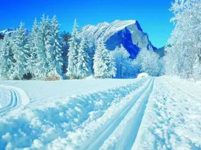 Ferienwohnung für 5 Personen (65 m²) in Schoppernau 8/10