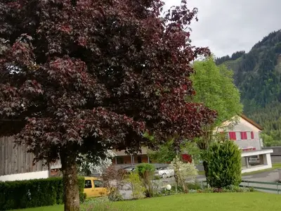 Ferienwohnung für 2 Personen (24 m²) in Schoppernau 5/10