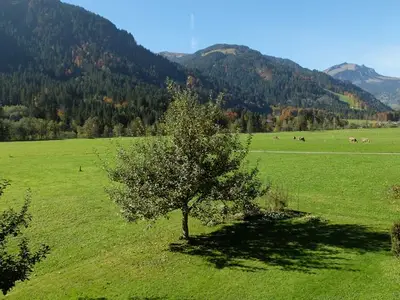 Ferienwohnung für 3 Personen in Schoppernau 8/10