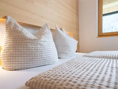 Ferienwohnung für 5 Personen (50 m²) in Schoppernau 10/10