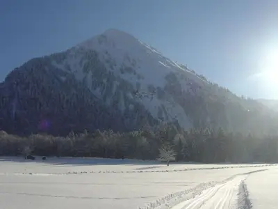 Ferienwohnung für 4 Personen (52 m²) in Schoppernau 6/10