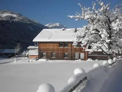 Ferienwohnung für 4 Personen (52 m²) in Schoppernau 8/10