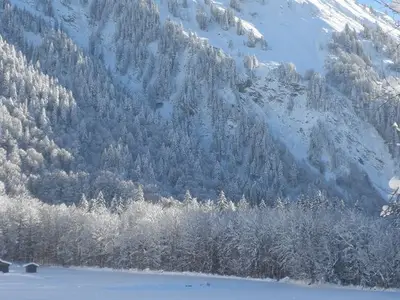 Ferienwohnung für 4 Personen (52 m²) in Schoppernau 9/10