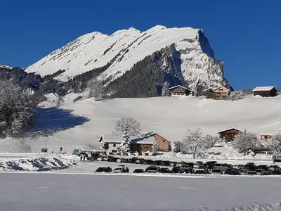 Ferienwohnung für 4 Personen in Schoppernau 6/10