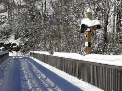 Ferienwohnung für 4 Personen in Schoppernau 9/10