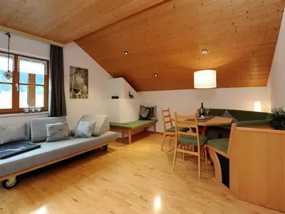 Ferienwohnung für 4 Personen (50 m²) in Schoppernau 6/10