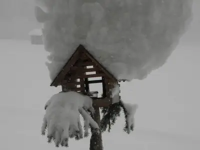 Ferienwohnung für 4 Personen (52 m²) in Schoppernau 5/10