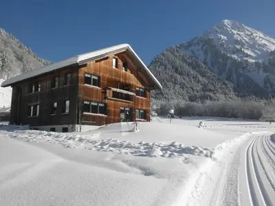 Ferienwohnung für 4 Personen (52 m²) in Schoppernau 7/10