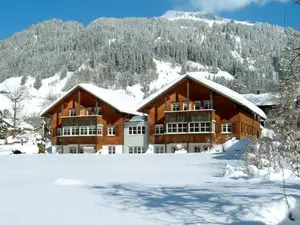 Ferienwohnung für 4 Personen (50 m²) in Schoppernau