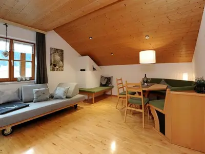 Ferienwohnung für 4 Personen (52 m²) in Schoppernau 6/10