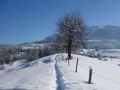 Ferienwohnung für 4 Personen (42 m²) in Schoppernau 3/10