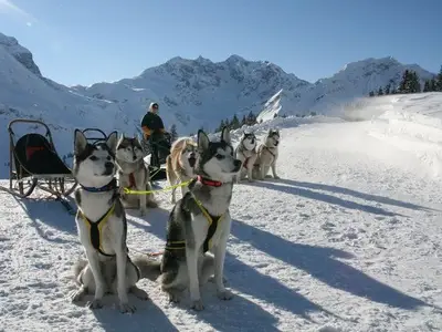 Ferienwohnung für 4 Personen (42 m²) in Schoppernau 5/10