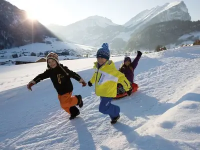 Ferienwohnung für 4 Personen (42 m²) in Schoppernau 6/10