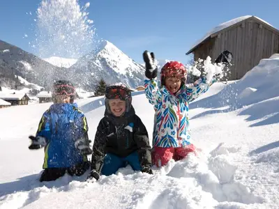 Ferienwohnung für 4 Personen (42 m²) in Schoppernau 7/10