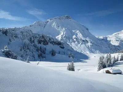 Ferienwohnung für 4 Personen (42 m²) in Schoppernau 10/10