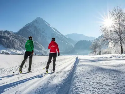 Ferienwohnung für 4 Personen in Schoppernau 4/10