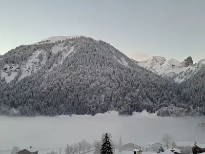 Ferienwohnung für 7 Personen (80 m²) in Schoppernau 6/10