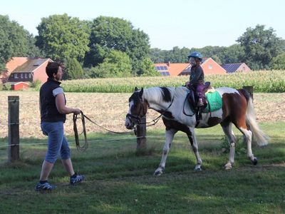 Geführtes Reiten