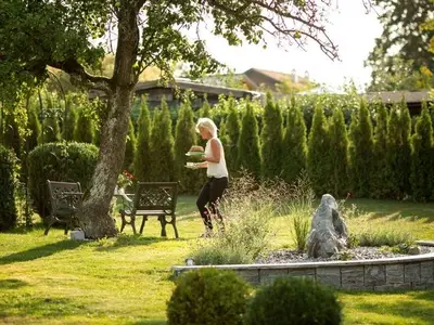 Ferienwohnung für 3 Personen (38 m²) in Schörfling 6/10