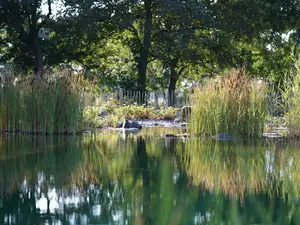 Ferienwohnung für 8 Personen (120 m²) in Schortens
