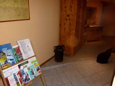 Ferienwohnung für 6 Personen (65 m²) in Schottwien 2/10