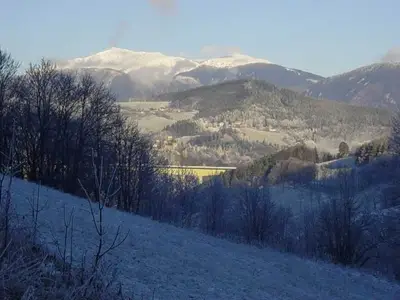 Ferienwohnung für 6 Personen (65 m²) in Schottwien 9/10