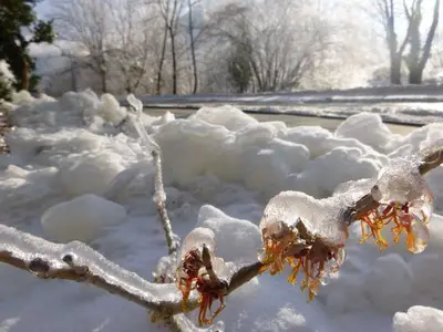 Ferienwohnung für 6 Personen (65 m²) in Schottwien 10/10