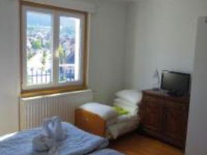 22235279-Ferienwohnung-6-Schramberg-300x225-5