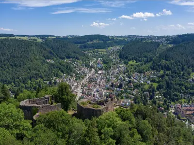 Ferienwohnung für 12 Personen (110 m²) in Schramberg 1/10