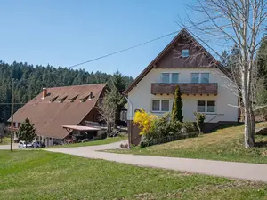 Ferienwohnung für 5 Personen (75 m²) in Schramberg