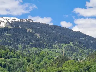 Blick auf den Golm