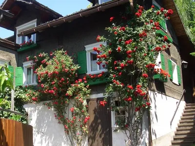 www.appartements-kasimir.at