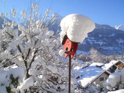 www.appartements-kasimir.at