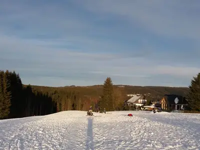 Ferienwohnung für 4 Personen (51 m²) in Schulenberg im Oberharz 1/10