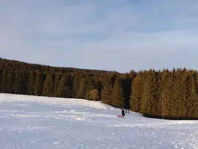 Ferienwohnung für 4 Personen (51 m²) in Schulenberg im Oberharz 2/10