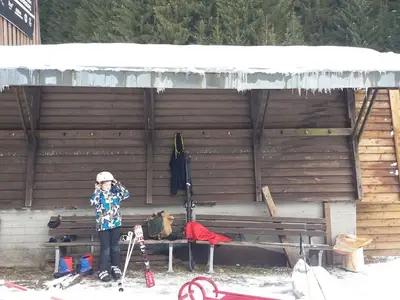 Ferienwohnung für 4 Personen (51 m²) in Schulenberg im Oberharz 3/10