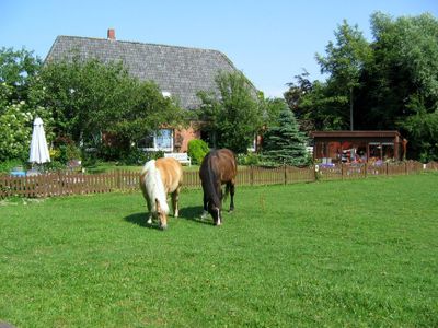 Hausansicht Ferienhof Friccius