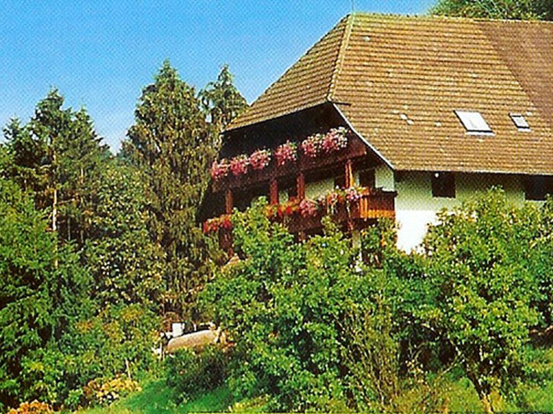 18984034-Ferienwohnung-3-Schuttertal-800x600-1