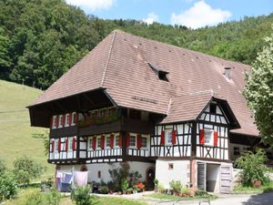 Ferienwohnung für 2 Personen (26 m²) in Schuttertal