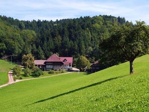 22069197-Ferienwohnung-4-Schuttertal-300x225-3