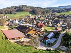 19023725-Ferienwohnung-6-Schuttertal-300x225-5