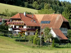 Ferienwohnung für 5 Personen (85 m²) in Schuttertal