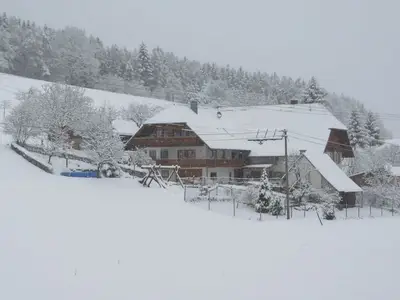 Ferienwohnung für 5 Personen (85 m²) in Schuttertal 9/10